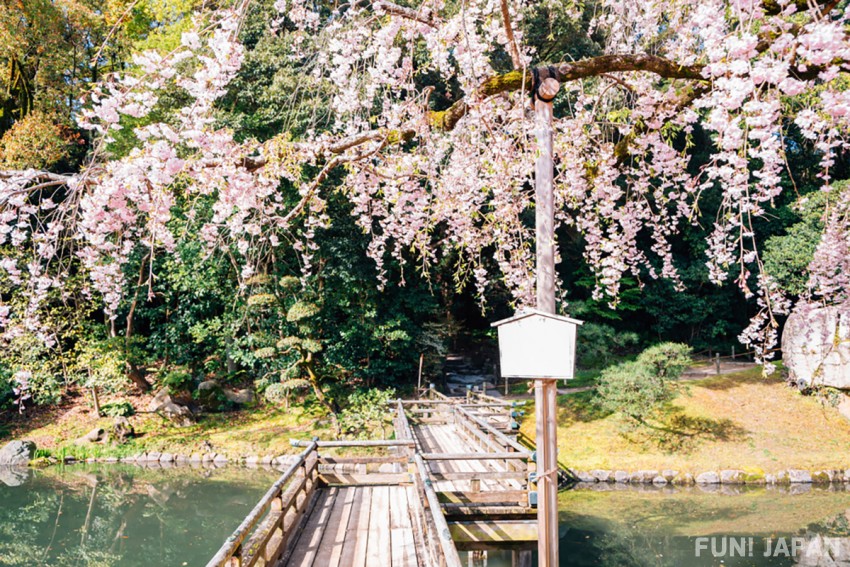 Okayama Korakuen, One of the 3 Great Gardens of Japan